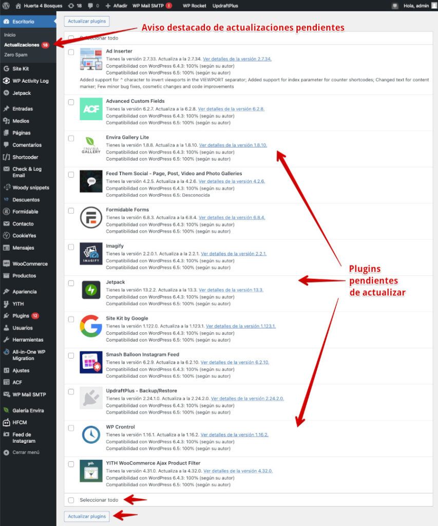 Cómo actualizar plugins en WordPress fácilmente? - Webempresa