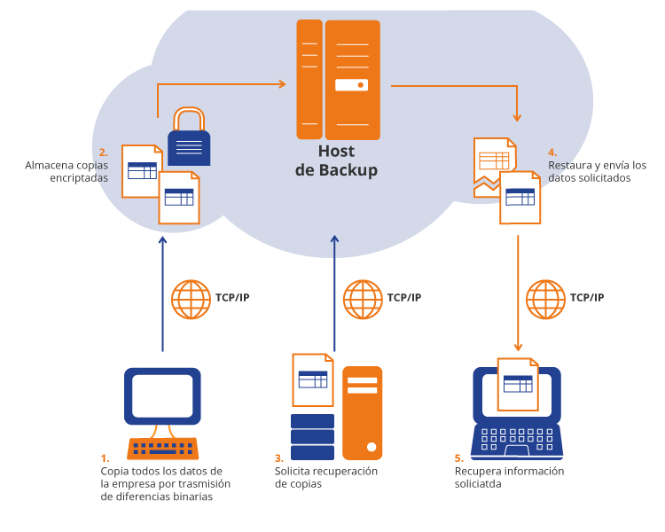 Servicio de Respaldo en la Nube - Neurocloud